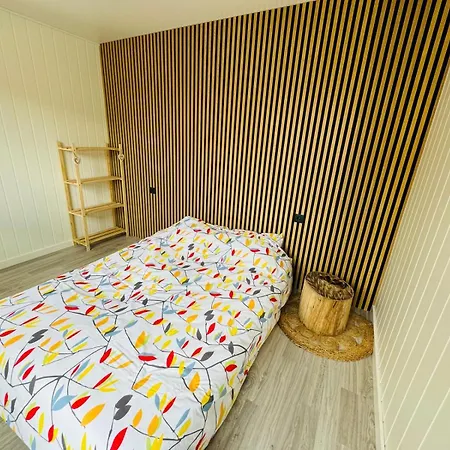 Moderne Avec Piscine Hébergement de vacances *