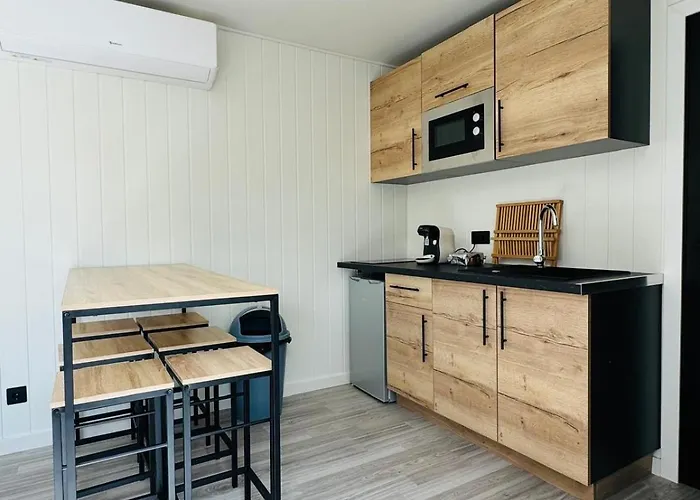 Moderne Avec Piscine 维泰勒