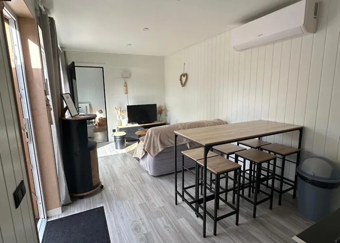 Moderne Avec Piscine 度假居 维泰勒